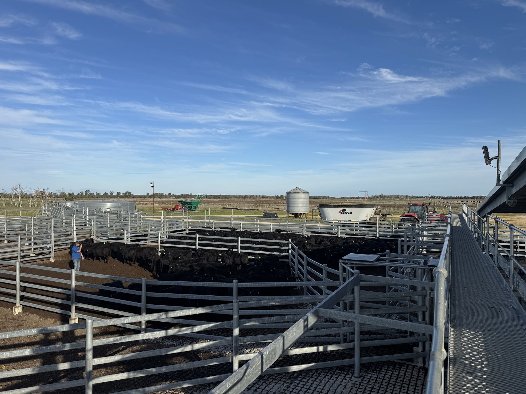 Cattle and feed mixing equipment in the intensive feeding yards at Emerald Springs